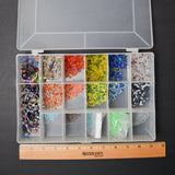 Seed + Assorted Beads in Plastic Compartment Case