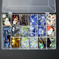 Large Sequins in Clear Compartment Case