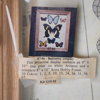 Butterfly Display Painting Kit with Wooden Frame