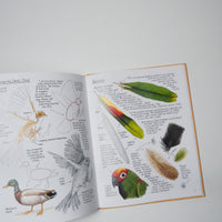 Painting Your Favorite Animals in Pen, Ink and Watercolor Book