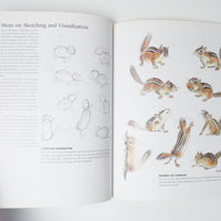 Drawing + Painting Animals Book