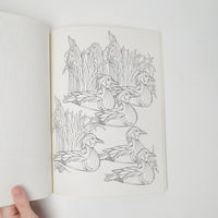 Birds Coloring Book