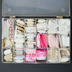 Assorted Trim in Clear Compartment Case