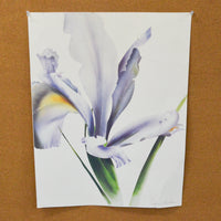 Iris Print - 17" x 22"