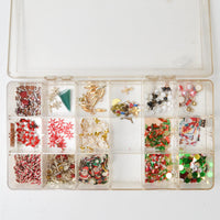 Beads in Clear Compartment Case