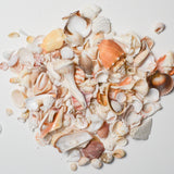 Bag of Shells