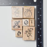 Nature Themed Stamp Bundle - Set of 7