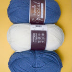 Blue + White Stylecraft Special Aran Acrylic Wool Blend Yarn - 3 400g Skeins