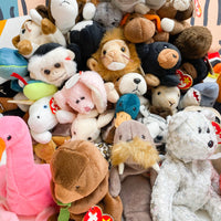 Adopt a Mystery Beanie Baby